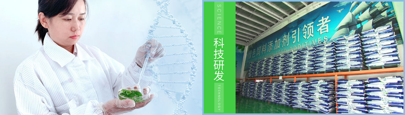 <a href=http://www.zhenghug.cn>天津納爾生物科技有限公司</a>